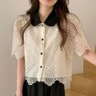 Short-sleeve Lace Collared Top