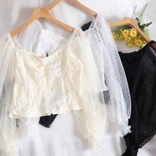 Lace Panel Embroidered Long-sleeve Crop Top