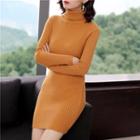 Turtleneck Long-sleeve Ribbed Mini Knit Dress