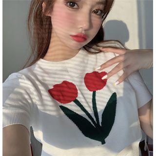 Print Crewneck Short-sleeve Knit Top / Plain Single-breasted Long-sleeve Cardigan