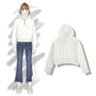 Plain Knit Hoodie / Sweater / Jacket / Cardigan