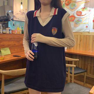 Embroidered V-neck Vest Blue - One Size
