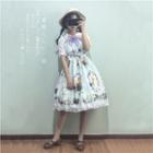 Printed Lace Panel Short Sleeve Dress