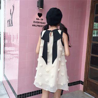 Color Block Mesh Sleeveless Dress