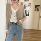 Mock Two-piece V-neck Long-sleeve Top - 2 Colors