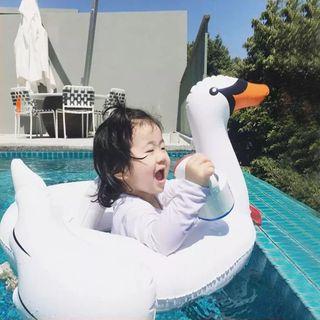 Swan Swimming Ring