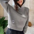 Mock Two-piece Hooded Panel Long-sleeve Sweater