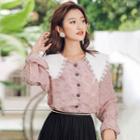 Pointed Collar Chiffon Shirt