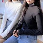 Long-sleeve Butterfly Embroidered Mock-neck Top