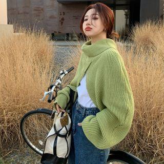 Turtleneck Cropped Ribbed Sweater