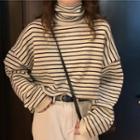 Striped Turtle Neck Long Sleeve Top