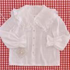 Peter Pan Collar Lace Trim Blouse White - One Size