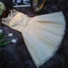 Crochet Trim Mesh Panel Sleeveless Bridesmaid Dress