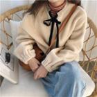Furry Long-sleeve Loose-fit Pullover