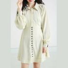 Button Detail Collared Long-sleeve A-line Dress