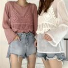 Set: Crochet Camisole Top + Long Sleeve Sheer T-shirt