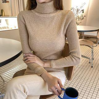Turtleneck Rib-knit Top (6 Colors)