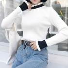 Color-block Slim-fit Long-sleeve Knit Top