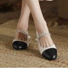 Two-tone Block-heel Mary Jane Shoes