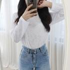 Petite Size Long-sleeve Relaxed-fit Sheer T-shirt