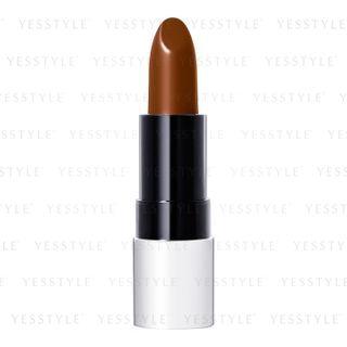 Shiseido - Playlist Instant Lip Complete Matte (#brg39) 1.8g