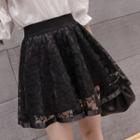 Lace Sheer Skirt