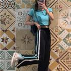 Flower Embroidered Short-sleeve Crop Top / Striped High-waist Wide-leg Pants