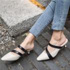 Pointed Double Strap Kitten Heel Mules
