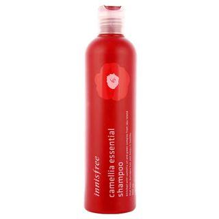 Innisfree - Camellia Essential Shampoo 300ml 300ml