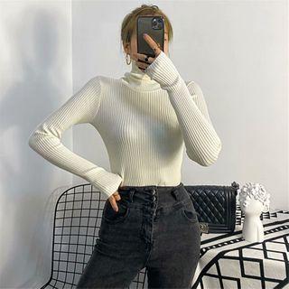 Turtle-neck Long-sleeve Ribbed Knit Top