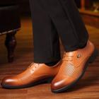 Perforated Genuine Leather Derby Shoes
