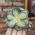 Flower Fabric Hair Clamp Green - One Size