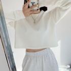 Loose-fit Crop T-shirt In 4 Colors