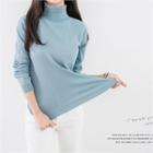 Turtle-neck Long-sleeve Knit Top