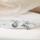 Non-matching 925 Sterling Silver Rhinestone Dolphin & Shel Dangle Earring 1 Pair - Dolphin & Shell Earring - One Size