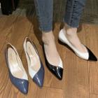 Paneled Pointy Low Heel Pumps