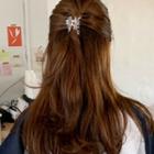 Transparent Hair Claw