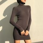 Plain Turtleneck Long-sleeve Slim-fit Knit Dress