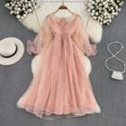 Bell-sleeve V-neck Plain Mesh Dress