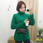 Turtle-neck Ribbed Long Sweater Green - One Size