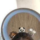 Animal Chenille Hair Clip Hair Clip - Panda - White - One Size