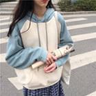 Color-block Loose-fit Fleece Hooded Sweatshirt