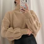 Long-sleeve High-neck Sweater