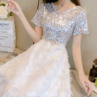Sequin Chiffon Dress