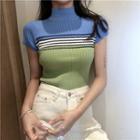 Striped High Neck Short-sleeve Knit Top