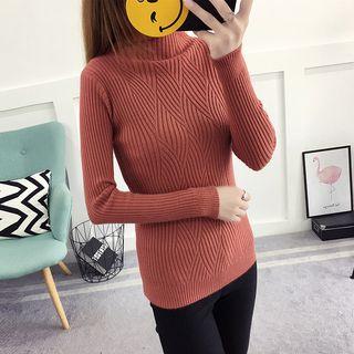 Plain Slim-fit Turtle-neck Knit Top