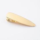 Frosted Brushed Metal Hair Clip