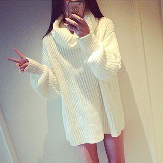 Turtle Neck Long Sweater