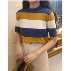 Striped Short-sleeve Knitted Top/ Fray Asymmetric Skirt