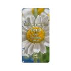 Lindsay - Petal Gel Modeling Mask - 4 Types Calendula